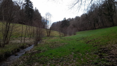 IMG-20260331-WA0005.jpeg