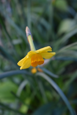 DSC_0944.JPG