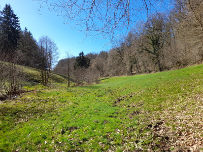 20260402_114904.jpg
