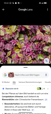 Screenshot_20260402-134346.png