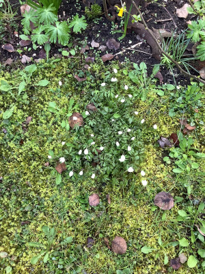 IMG_0756.jpeg