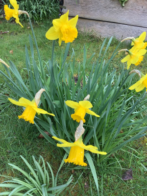 IMG_0757.jpeg