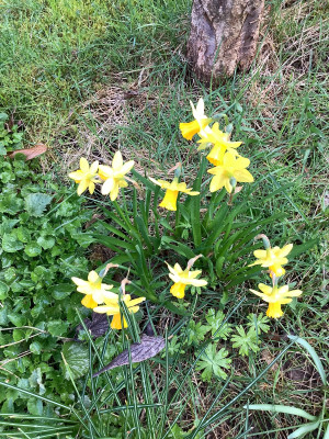 IMG_0758.jpeg