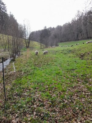 20260403_161911.jpg