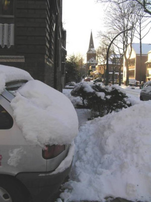 schneeja09-5kl.jpg