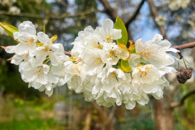 IMG_8834_DxO1000.jpg