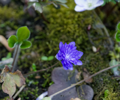 DSC_9937_DxO.jpg