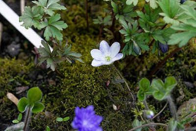 DSC_9938_DxO.jpg