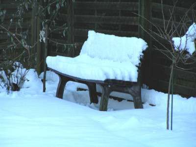 schneeja09-7.JPG