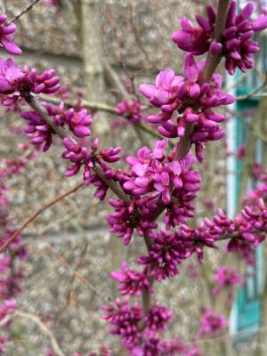 IMG_8973.jpeg