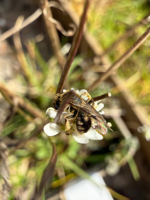 IMG_7055.jpeg