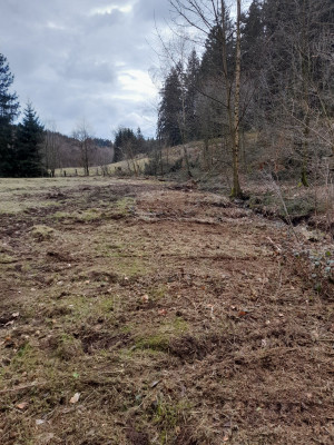 20260404_105037.jpg