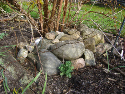 Steinhaufen 2.JPG