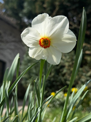 IMG_9456.jpeg