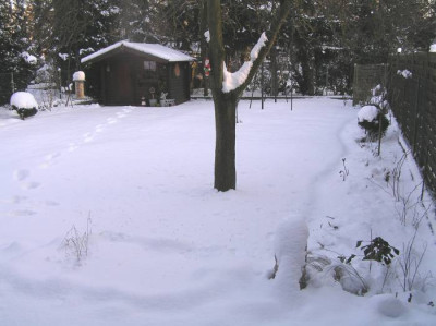 schneeja09-9.JPG