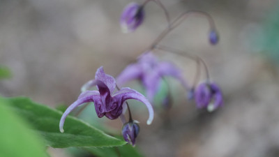 20260408181658.JPG