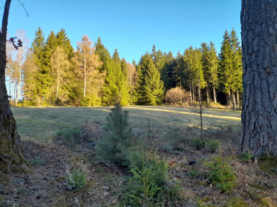 20260407_184710.jpg