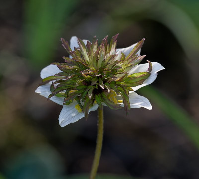 DSC_9962_DxO.jpg
