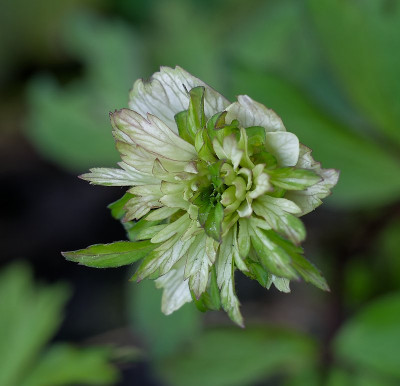 DSC_9966_DxO.jpg