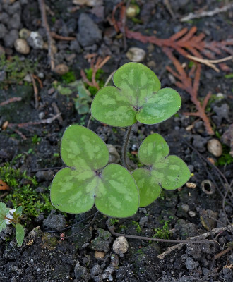 DSC_9969_DxO.jpg