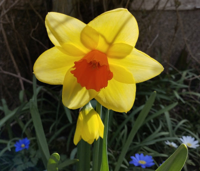 260409_TexelSun2.jpg
