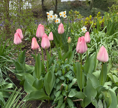 IMG_8890.jpeg
