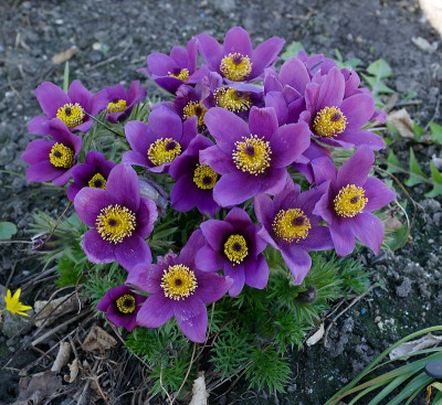 DSC_9955_DxO.jpg