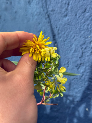 IMG_0153.jpeg