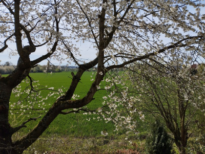 260411_Fensterblick.jpg
