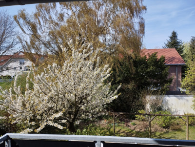 260411_FensterWest.jpg