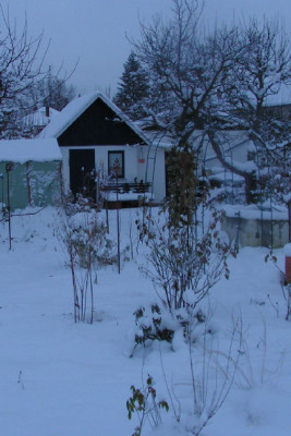 garten07012009_020.jpg