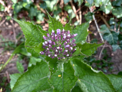 20260409_091429.jpg
