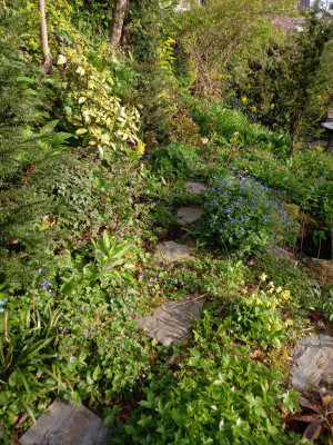 20260409_091135.jpg