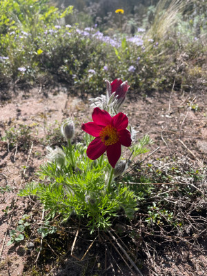 IMG_6843.jpeg