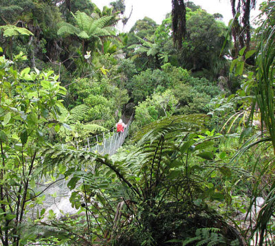 heaphy_track2.jpg