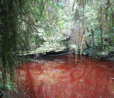 kahurangi_wasser.jpg