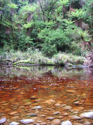 kahurangi_wasser2.jpg