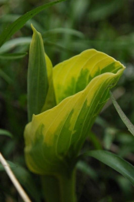 20.04.2008_052.jpg