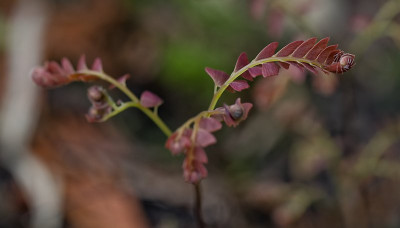 DSC_9978_DxO.jpg
