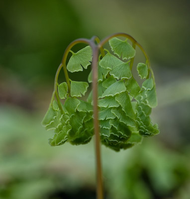 DSC_9981_DxO.jpg