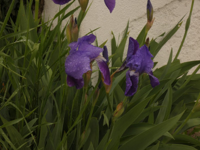 P1060514.JPG