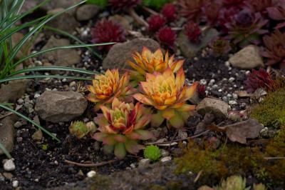 DSC_9986_DxO.jpg