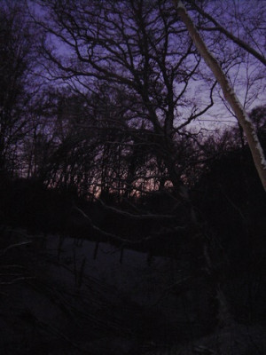 PICT1345.jpg