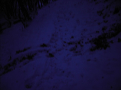 PICT1352.jpg
