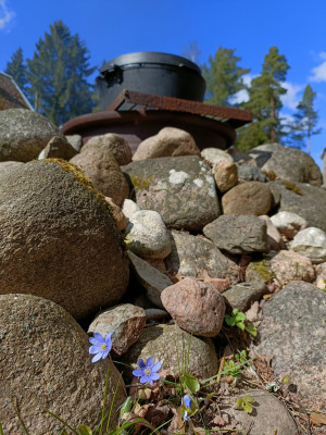 IMG20260412135444.jpg