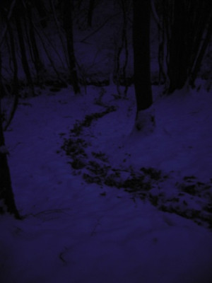 PICT1353.jpg