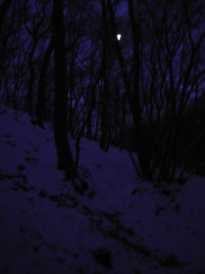 PICT1356.jpg