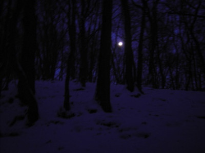 PICT1358-2.jpg