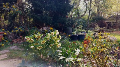 20260412_114700.jpg