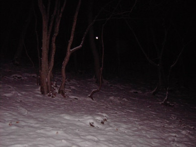 PICT1362.jpg